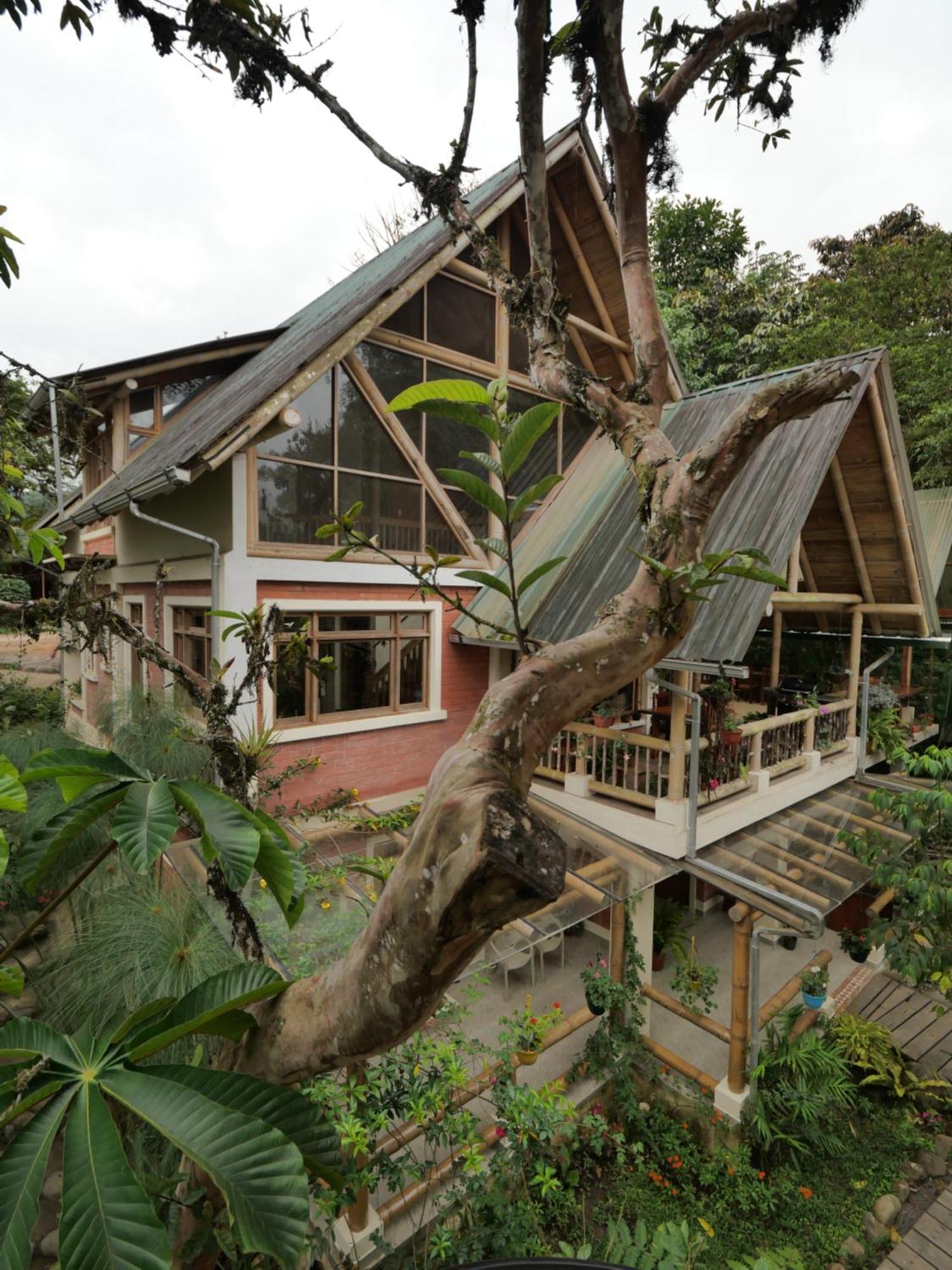Casa Del Rio En Mindo Bed and Breakfast Exteriör bild